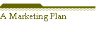 A Marketing Plan