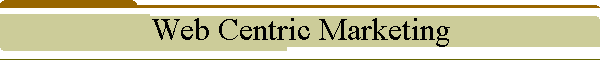 Web Centric Marketing